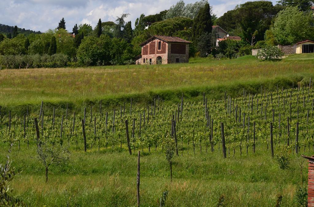 Agroturismo Al Podere Di Rosa Lucca