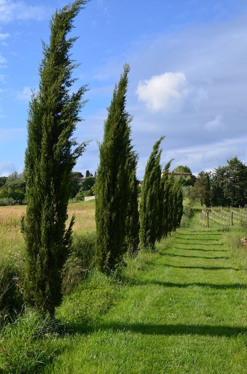 Al Podere Di Rosa *