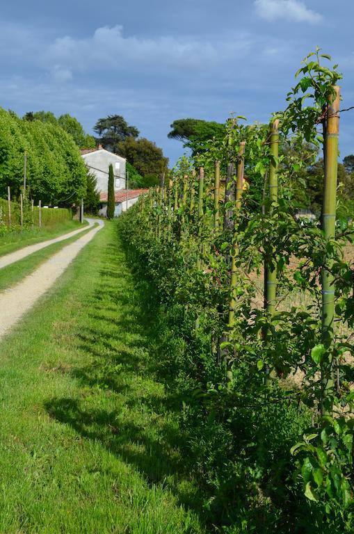 Al Podere Di Rosa Agroturismo *