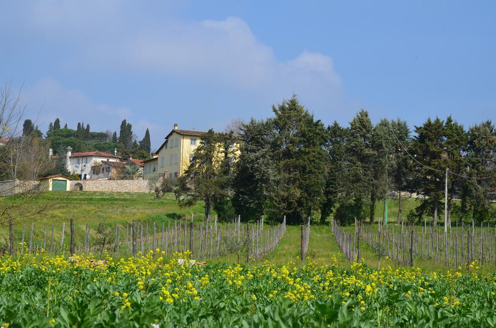 Al Podere Di Rosa Lucca