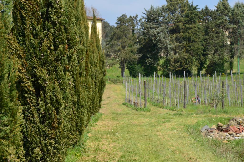 Al Podere Di Rosa *