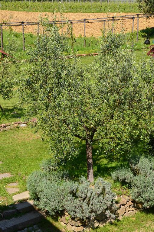 Al Podere Di Rosa Agroturismo *