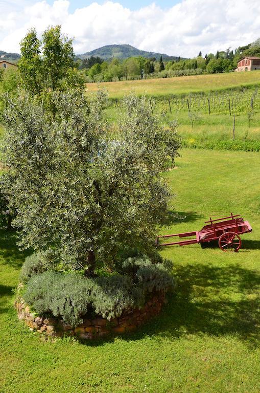Agriturismo Al Podere Di Rosa * Lucques